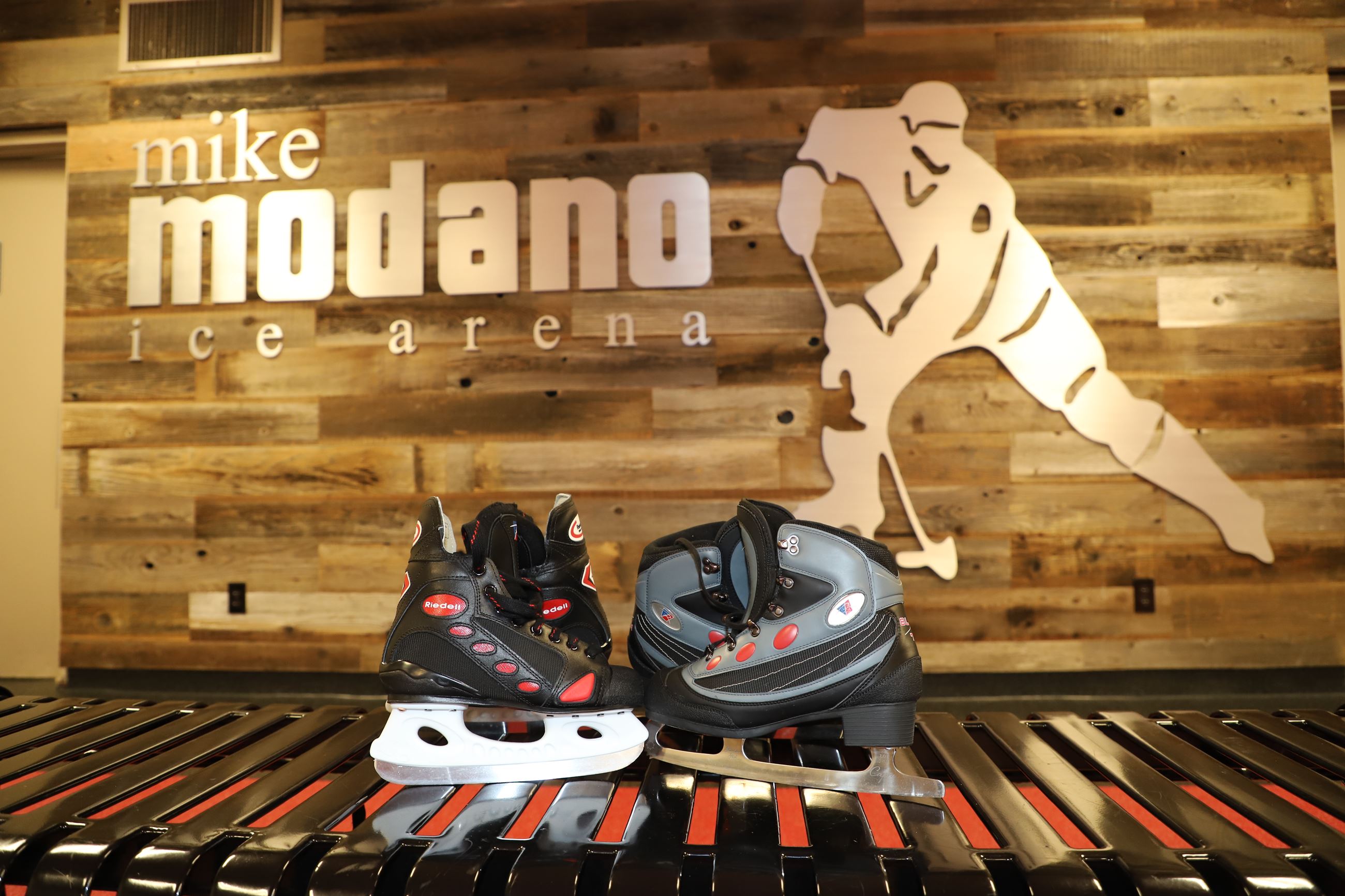 Mike Modano Ice Arena wall